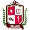 Hillside University of Science and Technology, School Fees, Admission Requirements, Hostel Accommodation, And List Of Courses Offered